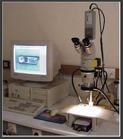 Expertise technique en microscope